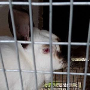 Meet your Posher, Ben